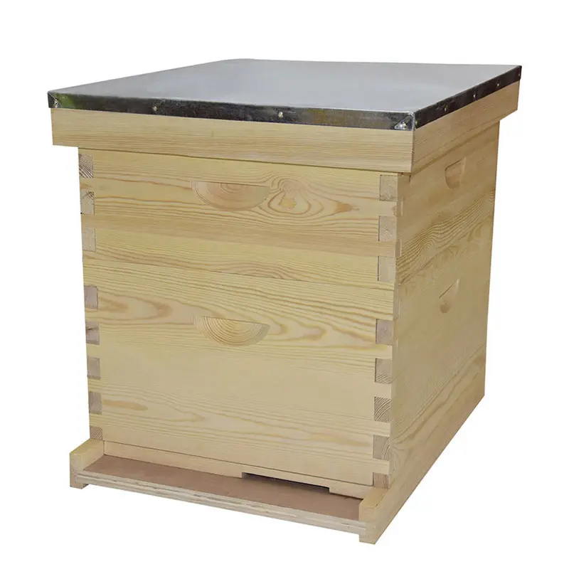 LANGSTROTH HIVE